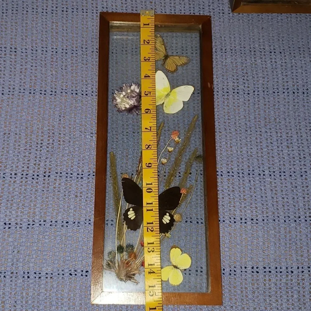 Stunning Butterfly & Dried Flowers Mounted In Shadow Box Framed Wall Art